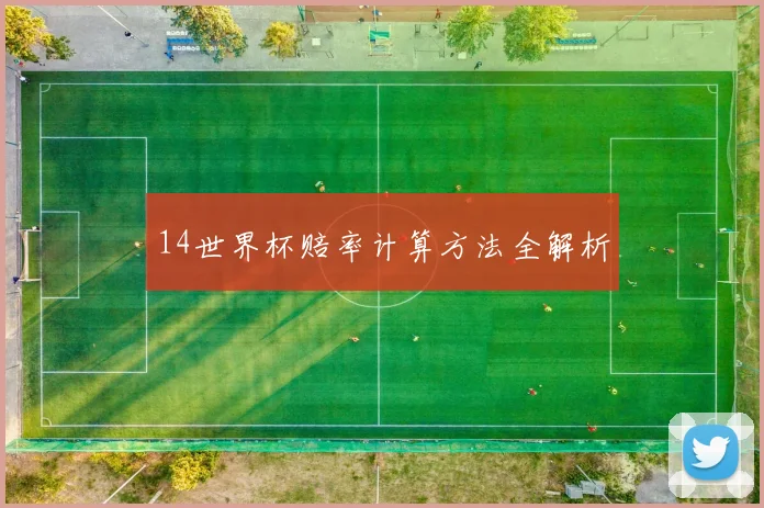 14世界杯赔率计算方法全解析