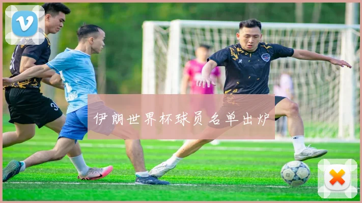 伊朗世界杯球员名单出炉