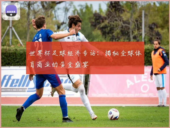 世界杯足球经济专访：揭秘全球体育商业的黄金盛宴