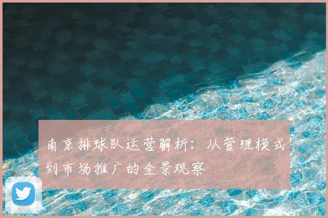 南京排球队运营解析：从管理模式到市场推广的全景观察