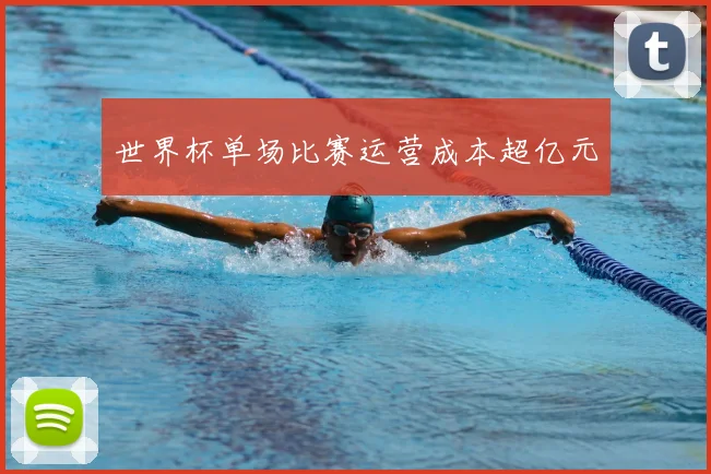世界杯单场比赛运营成本超亿元