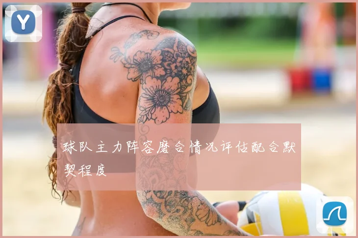 球队主力阵容磨合情况评估配合默契程度