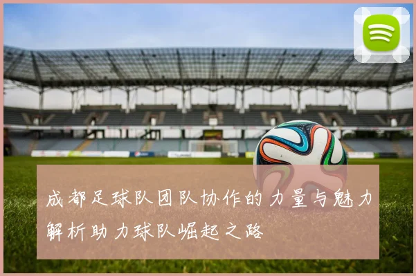 成都足球队团队协作的力量与魅力解析助力球队崛起之路