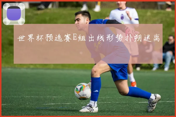 世界杯预选赛E组出线形势扑朔迷离